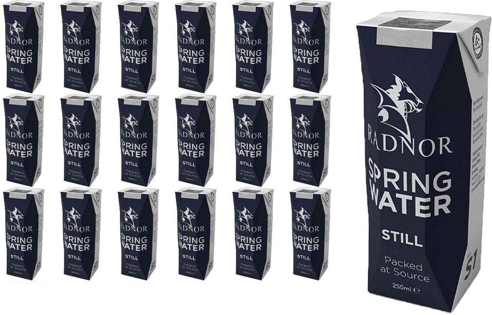 Radnor Hills Still Spring Water Tetra Water 24x250ml Multipack