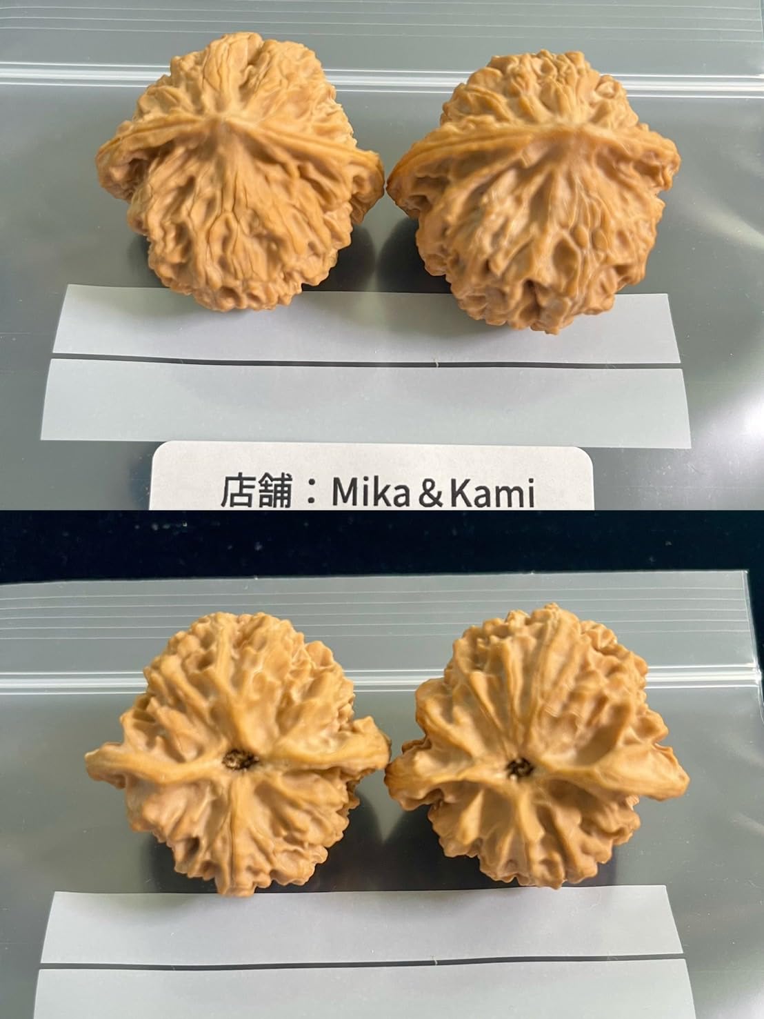 Amazon | 文玩屋 遊び胡桃 精選「林檎園」A0007「手で遊び育てる楽しみ