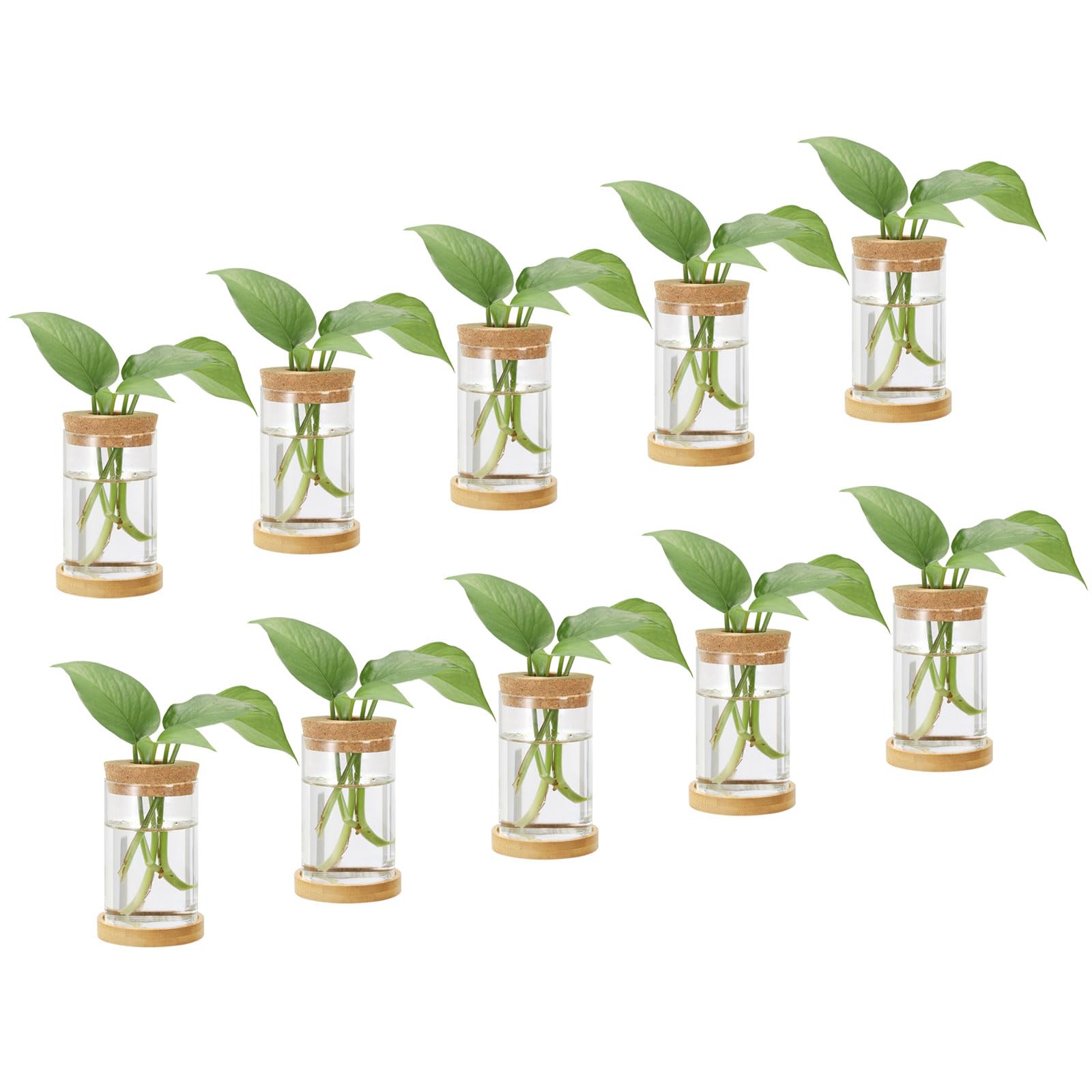 Vases de terrarium PATIKIL pour boutures de plantes d'intérieur