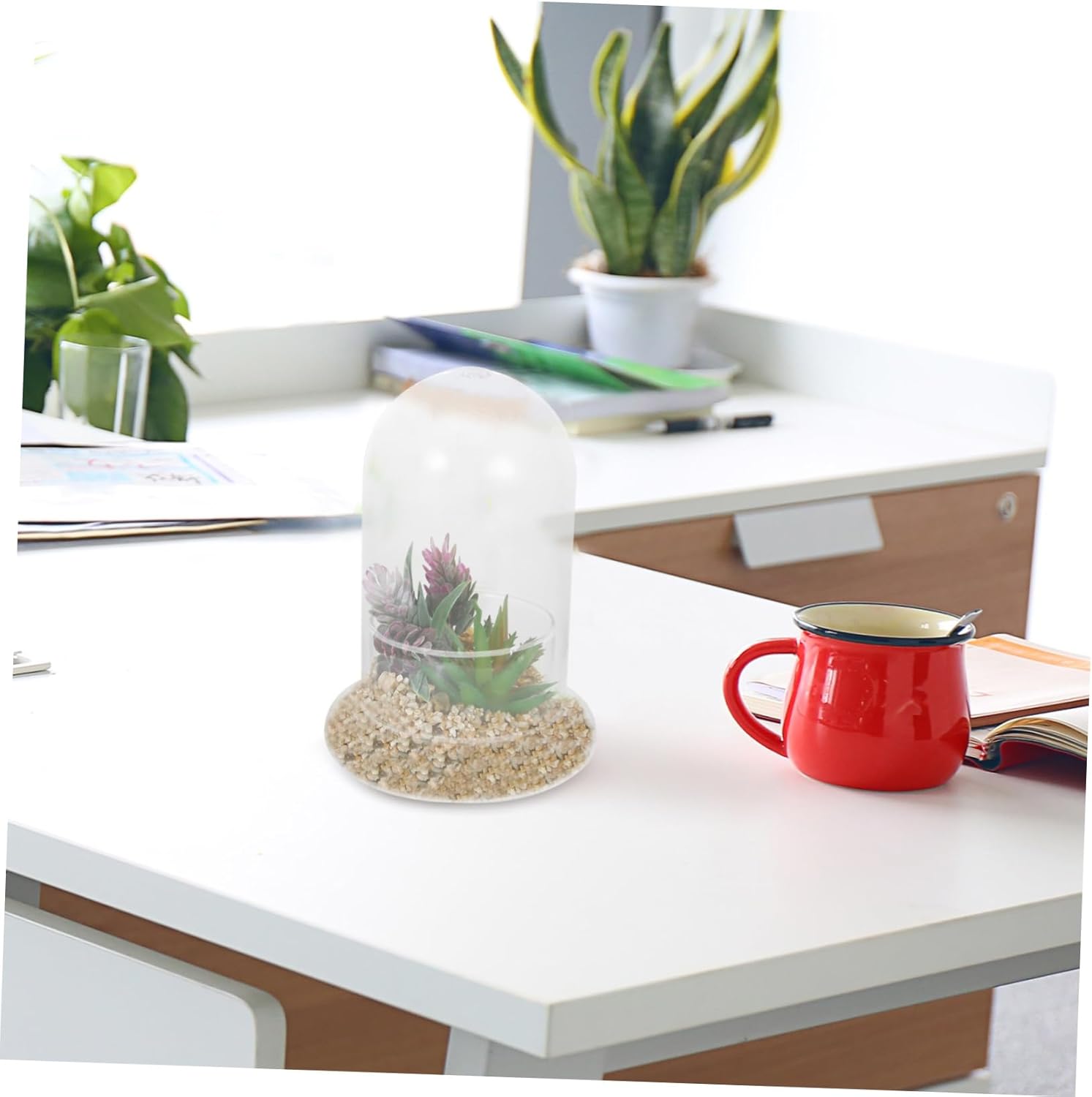 Plant Holder Eco Bottle Moss Glass Bottle Micro Landscape Creation for Home Decor Present for Mother's Day