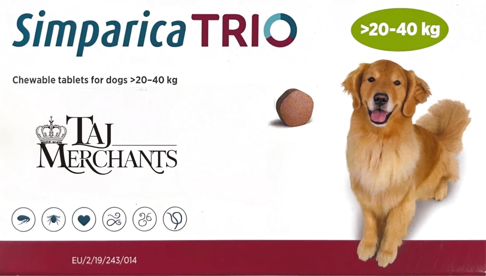 (Imported) TM Presents SIMPAR I C A Chewables for Dogs of (20-40 kg)| (1 Chew)-image-13