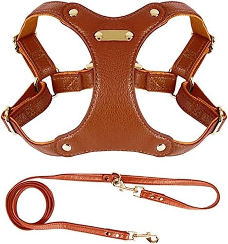 MYJYG pn[lXAhbOApƃ[h̃ZbgA\tgU[AȂAʋCAȂA\Aϋv̂錢pA^A^A^ɓKĂ܂ ȒPȎUg[jOybgpi pփ[h (uE,S)