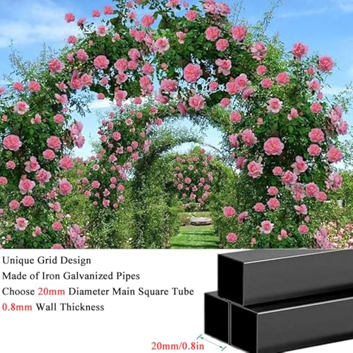 Arche de rose en métal pour plantes grimpantes avec treillis