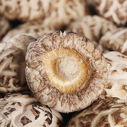 Miniatura 3 de Hongos Shiitake Hongo Premium Setas Shiitake Orgánicas Secas Micológicas,Champiñones Shiitake Premium secos (Hua gu-8.82 oz(0.55 libras))