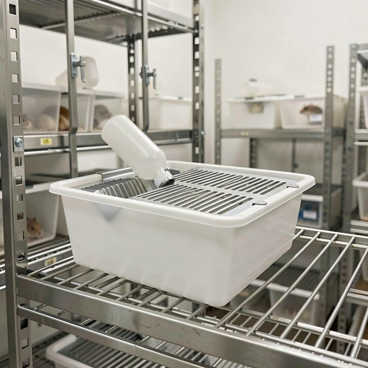 NUOBESTY Jaula para Ratones de Laboratorio Reforzada, 250ml, PP y
