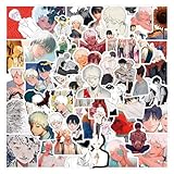 50PCS The Summer Hikaru Died Stickers,Water Bottle Stickers Waterproof Vinyl Decals, Movie Anime Stickers for Laptop, Phone, Journal, Skateboard, Guitar, Bike (f)