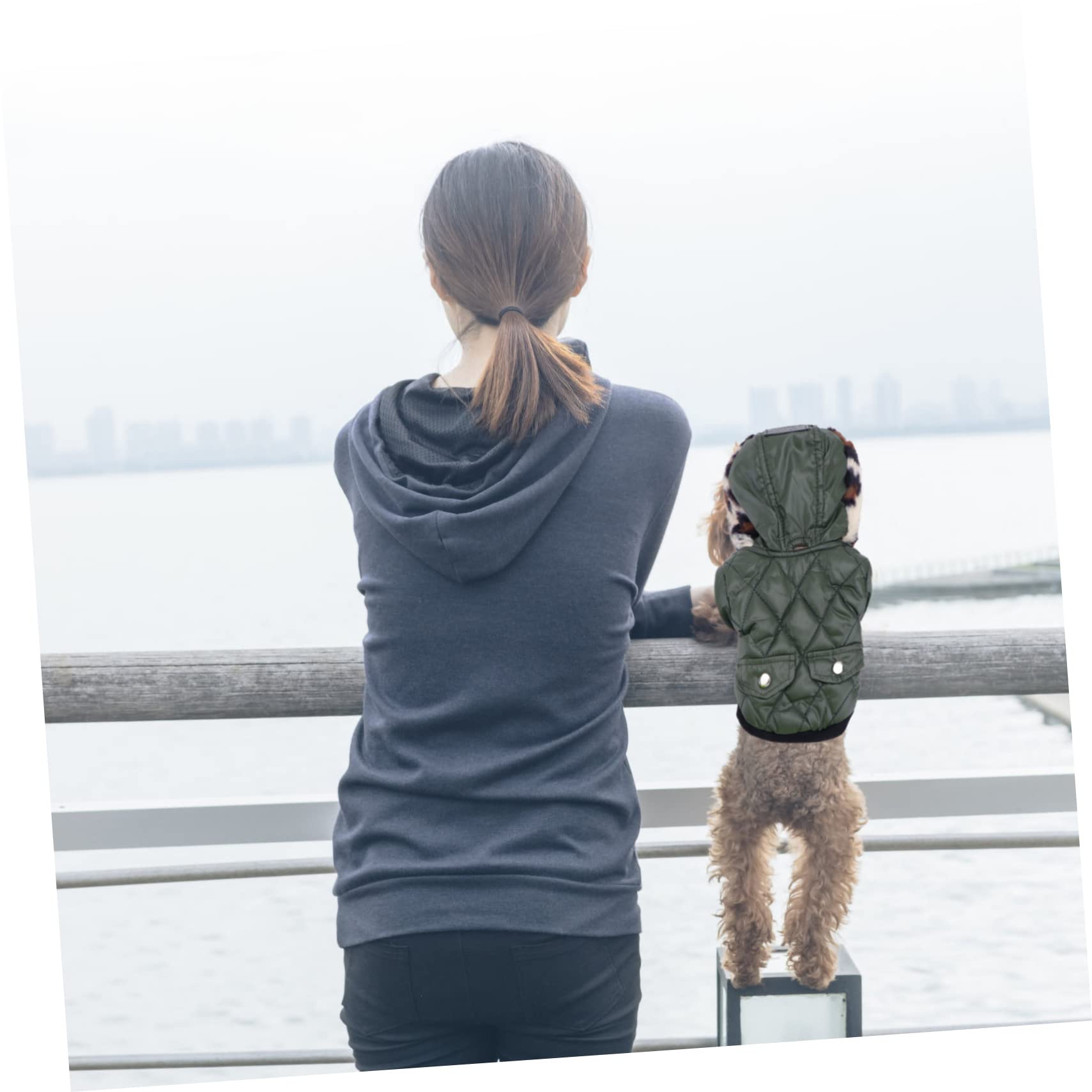BESPORTBLE 3 Pz felpa con cappuccio per cani da cucciolo offerteforniture per animali domestici vestiti vello di cane felpa con cappuccio da cucciolo Collo di pelliccia invernali