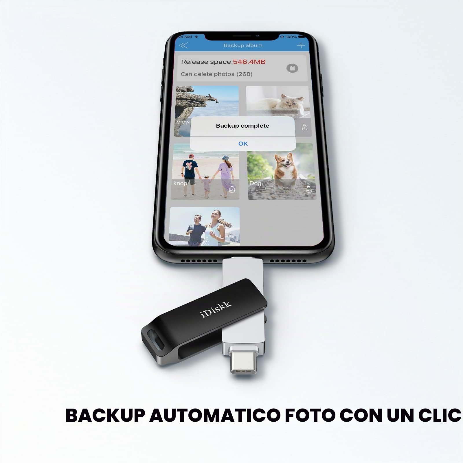 【Certificato MFi】 iDiskk 512 GB 2 in 1 tipo C a Lightning iPhone Photo Stick, memoria USB-C a iPhone, chiavetta USB iPhone funziona con telefoni USB-C, iPhone/iPad, Mac e computer