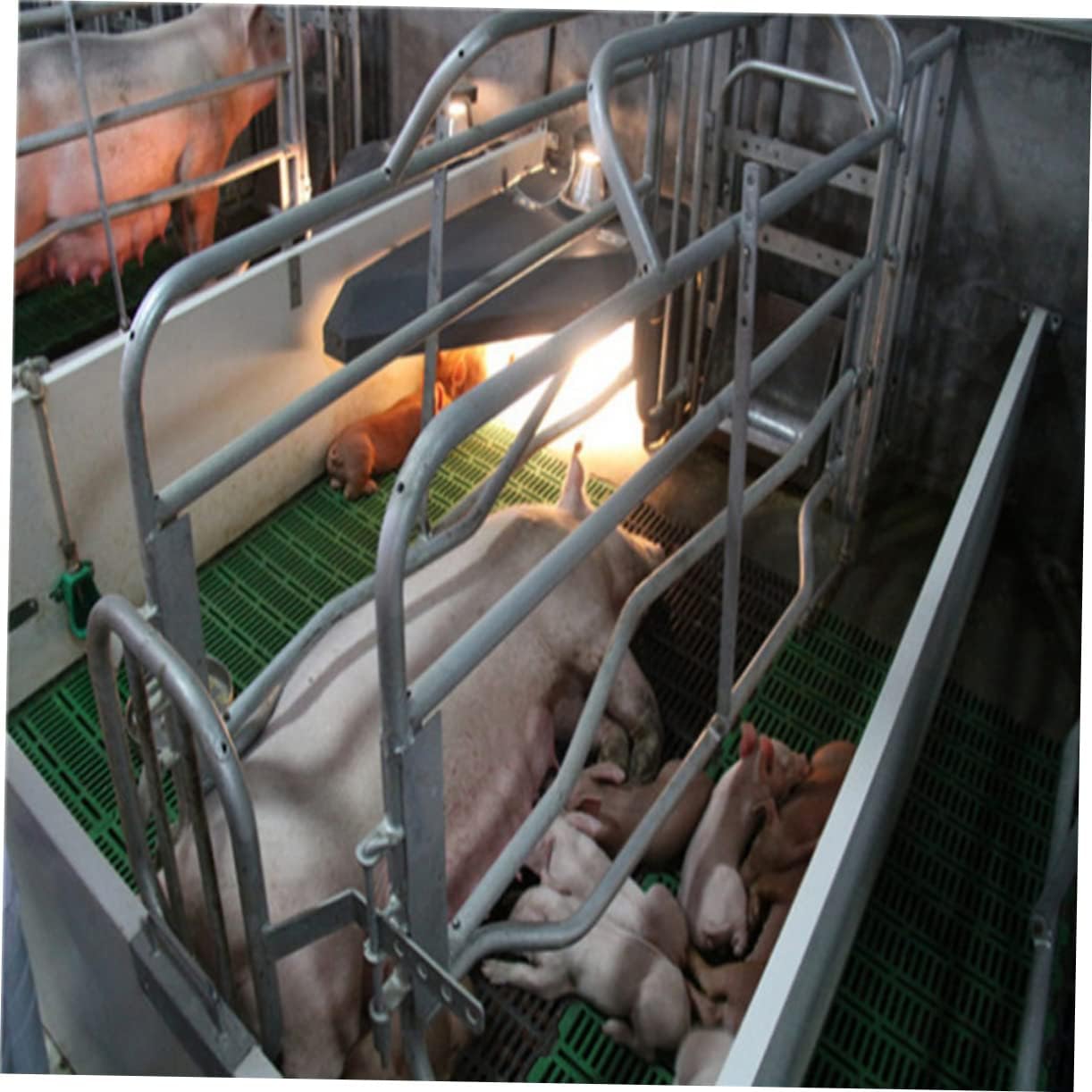 3pcs Stainless Steel Drinking Fountain Goat Water Bowl Sheep Water Feeder Pig Feeder Farm Tools