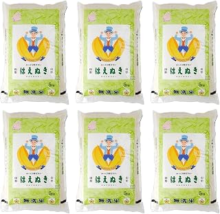 無洗米はえぬき 5kg×6回定期便 9月下旬発送開始