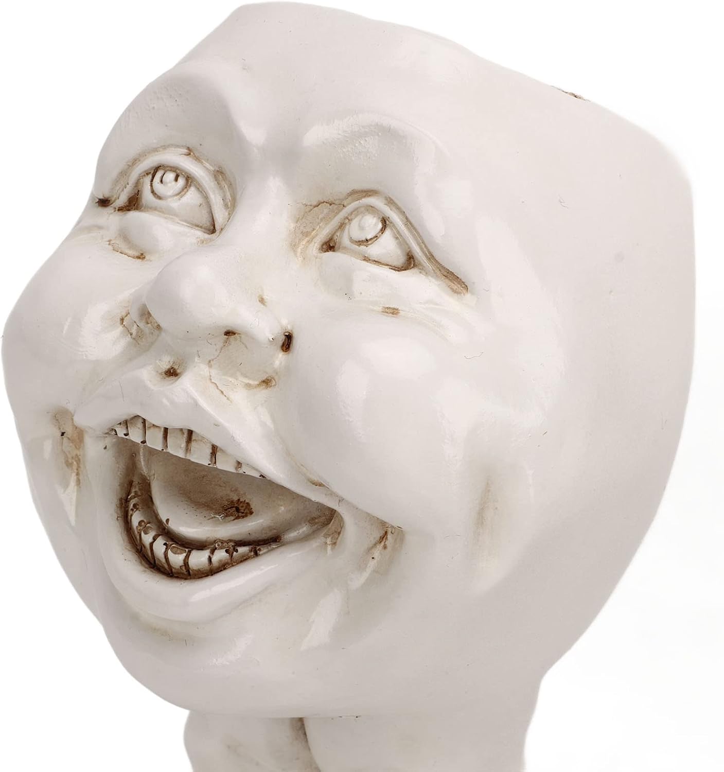 Face Statue Planter Unique Image Cute Funny Shape Personalized Head Flower Pot for Garden Decoration (Aunt 6)