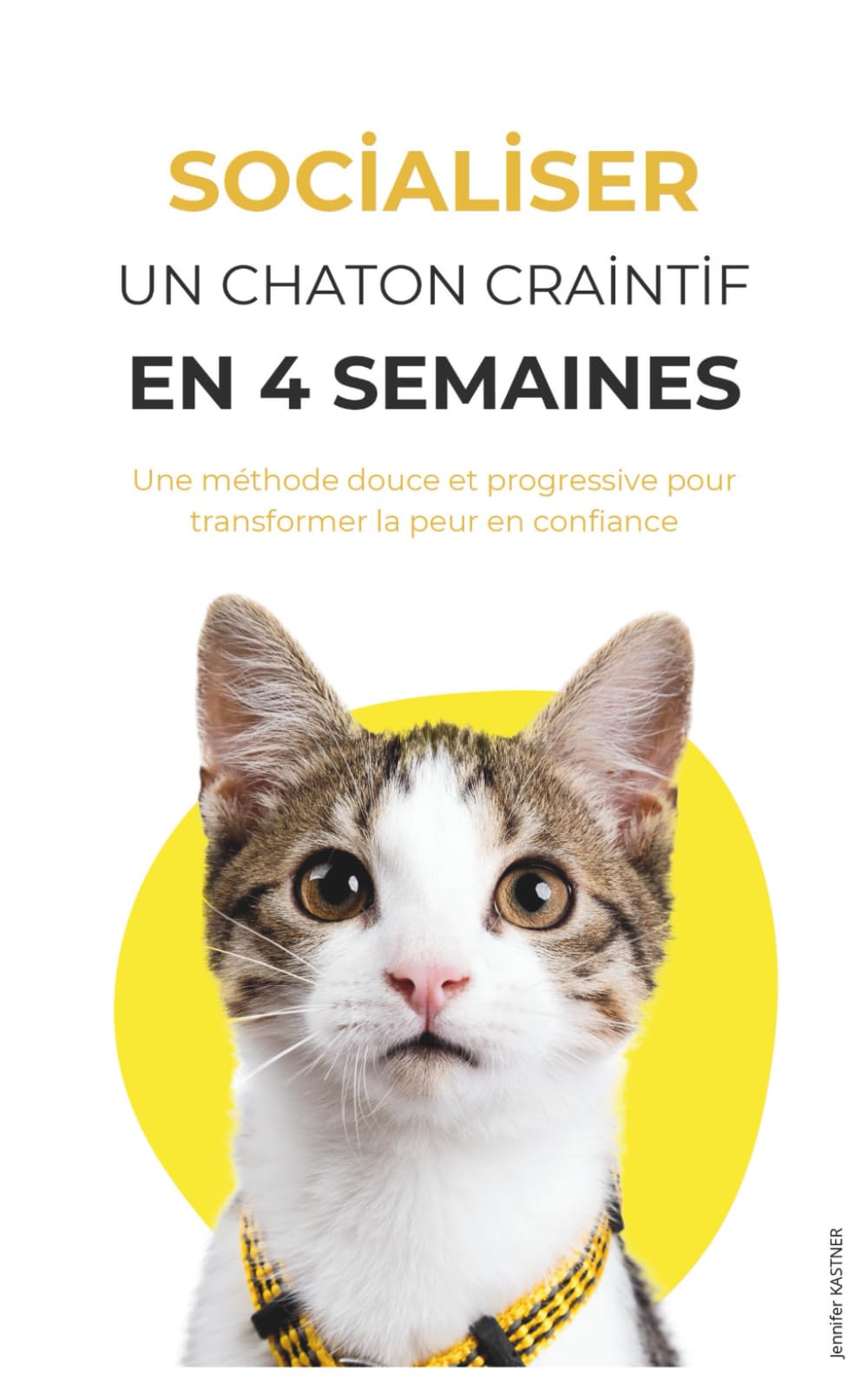 Socialiser un chaton craintif en 4 semaines: Une méthode douce et progressive pour transformer la peur en confiance