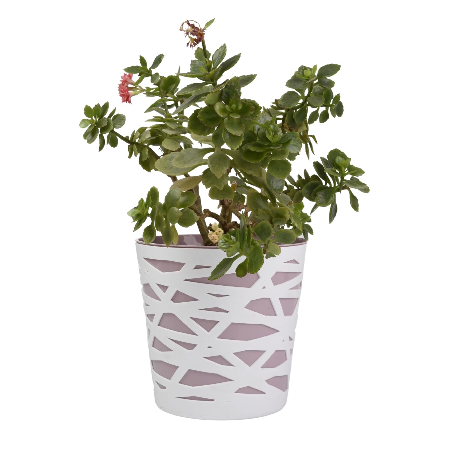 B2C Flowerpot plant pot planter Crystal Modern Decorative Daizy 7 colours 4 sizes (13cm, Pink)