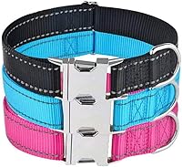 Vista 4 de Love Dream Collar reflectante para perro con hebilla de metal, collar de nailon ajustable de seguridad con hebilla de liberación rápida resistente