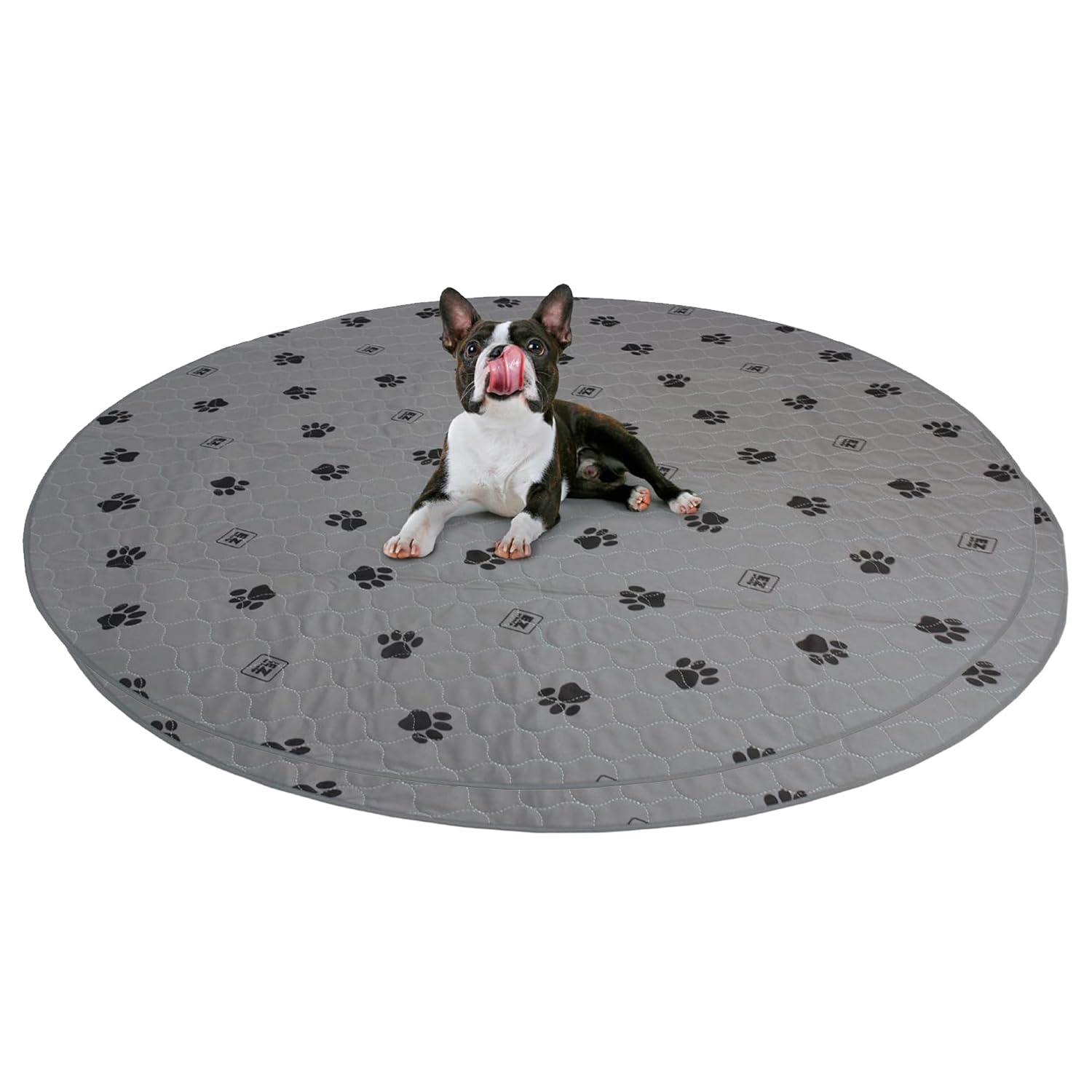 EZwhelp Pack of 2 Reusable Dog Pee Pad, Washable Slip-Resistant Waterproof Mat, 60 Inches — image 1