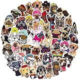 Das PERFECT Sticker Pack zum Anpassen und Dekorieren Ihrer Computer, Helm, Snowboard, MacBook, iPad, PS4, Wasserflasche, wie Sie es nennen!