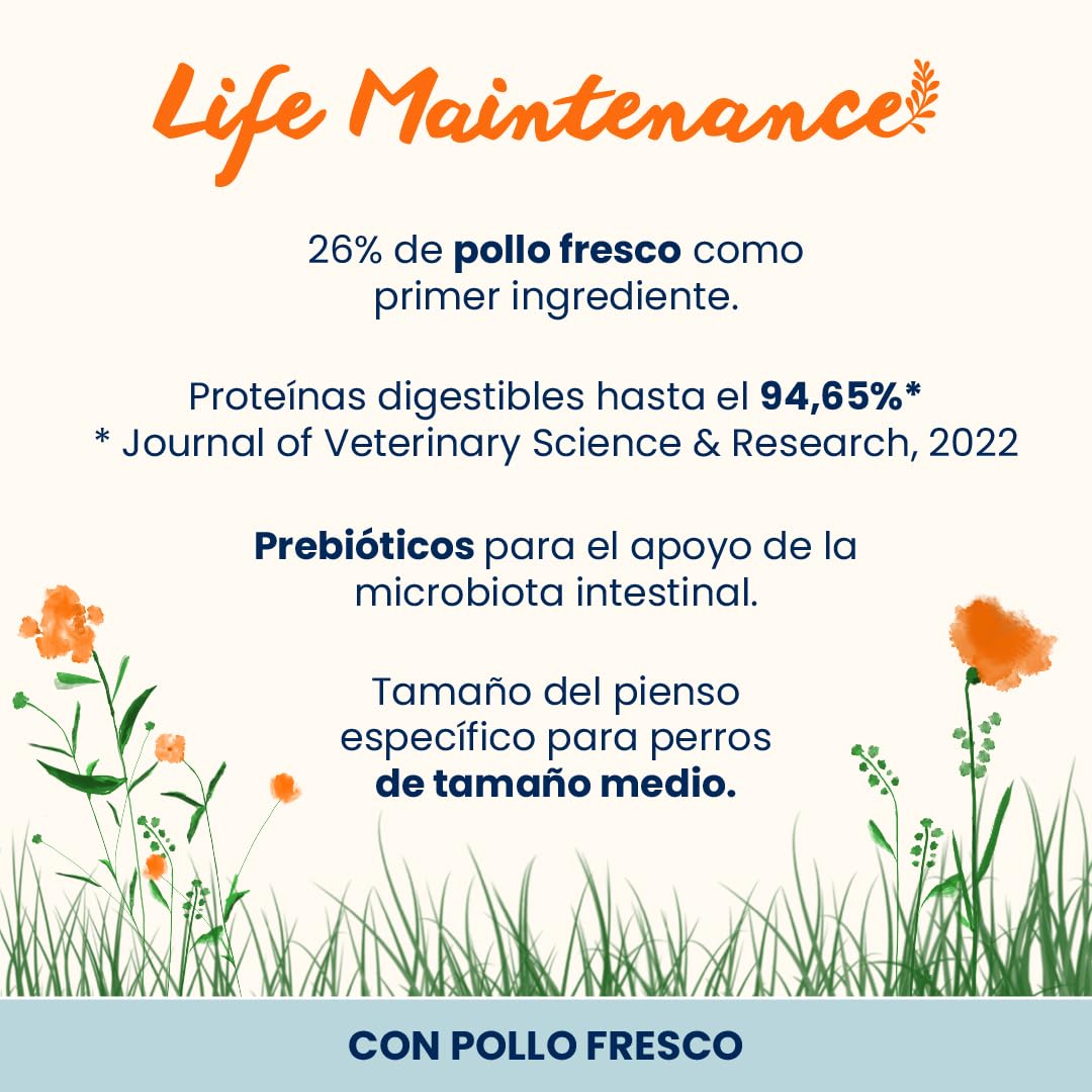 Almo Nature Life Maintenance Pienso Seco para Perro M con Pollo 12 kg – Alimento Completo para Perros Adultos de Raza Mediana