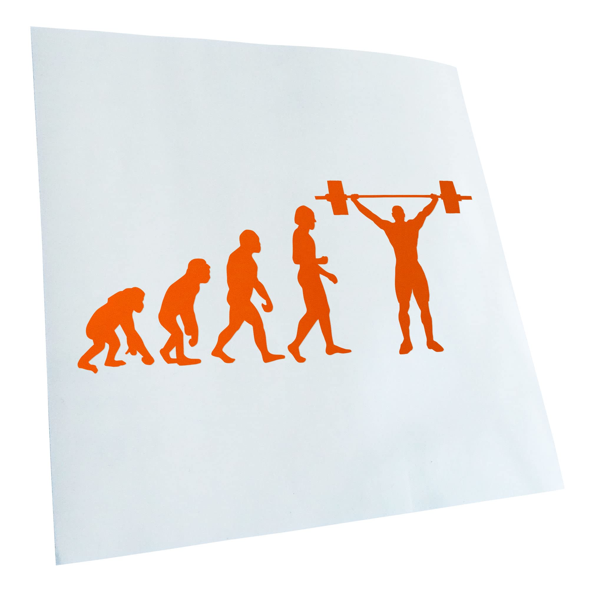 Kiwistar - Car Sticker - Orange - 50 x 21 cm Evolution Weightlifter - Rear Window Car Sticker Weatherproof for Car Truck Moped Truck - Sticker Exterior Self-Adhesive Tuning Accessories for Window