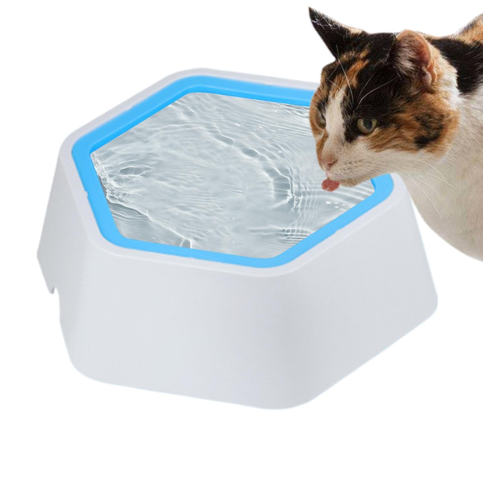 Gamelle d'eau pour chien de 800 ML avec plateau flottant anti-goutte