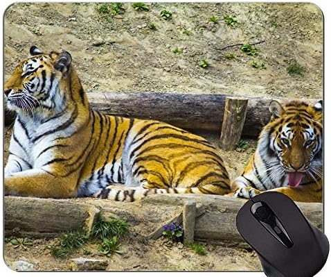 YENDOSTEEN White Tiger Funny Mouse Pad,Beast Mouse Pads
