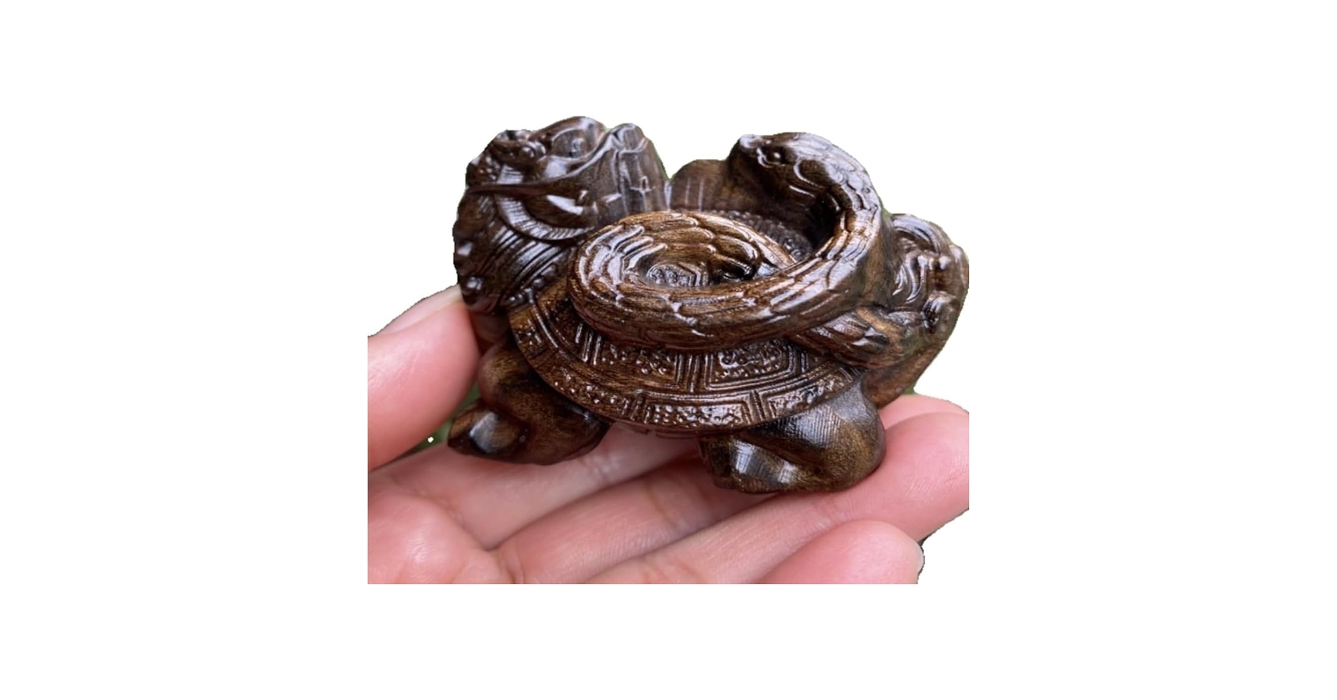 Amazon.co.jp: 玄武 置物 四神獣 木彫 亀 蛇 四神相応 風水