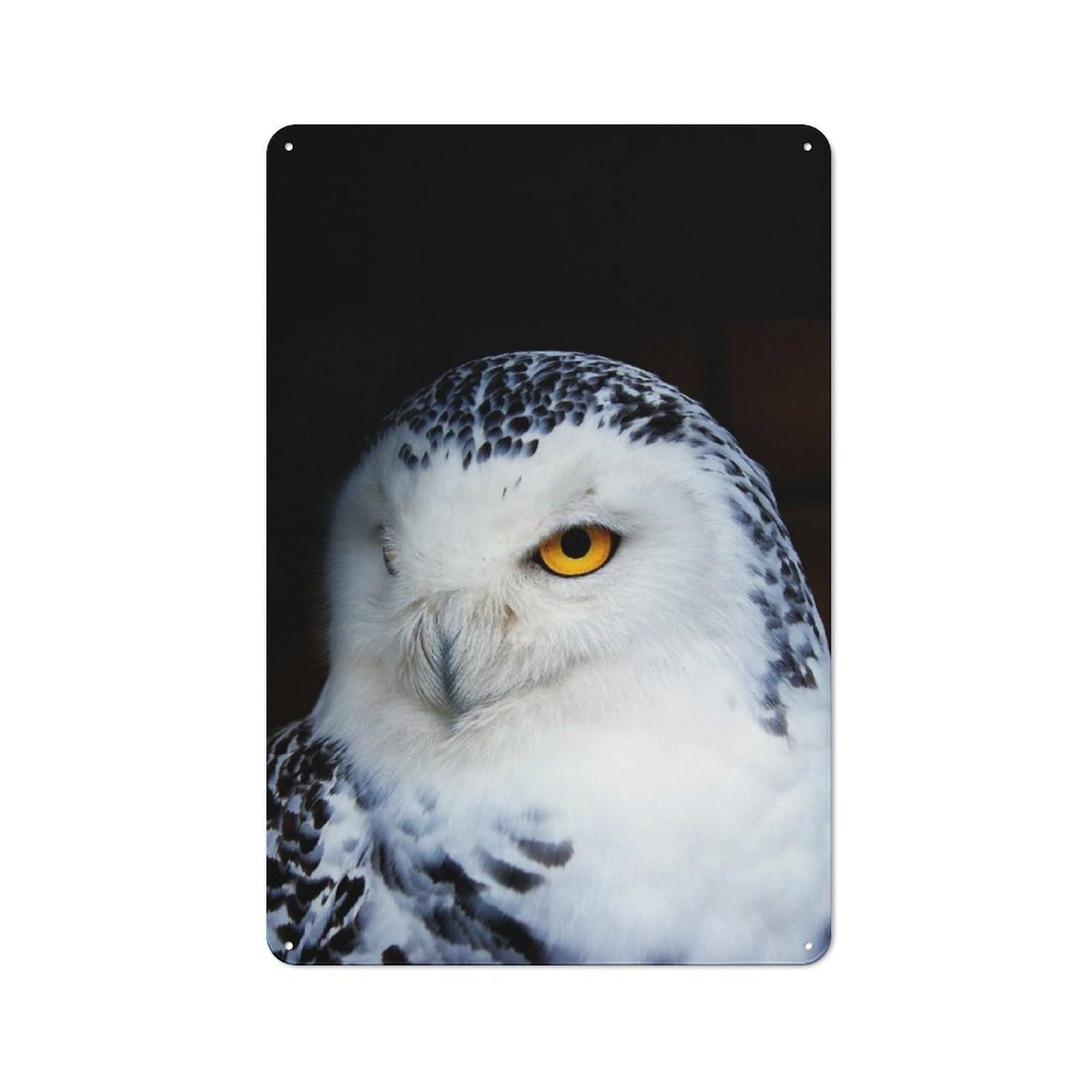 Junmoney Style-8 Wild Owl Face Poster Rustic Tin Sign 30X20cm For Café Or Home Bar, Suited To Hospitality Decor Collectors