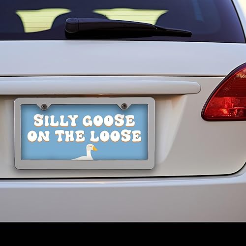 Miniatura 5 de Honey Dew Gifts, Silly Goose on The Loose, placa de matrícula divertida, placa decorativa, placas de tocador, placa frontal, placas novedosas,