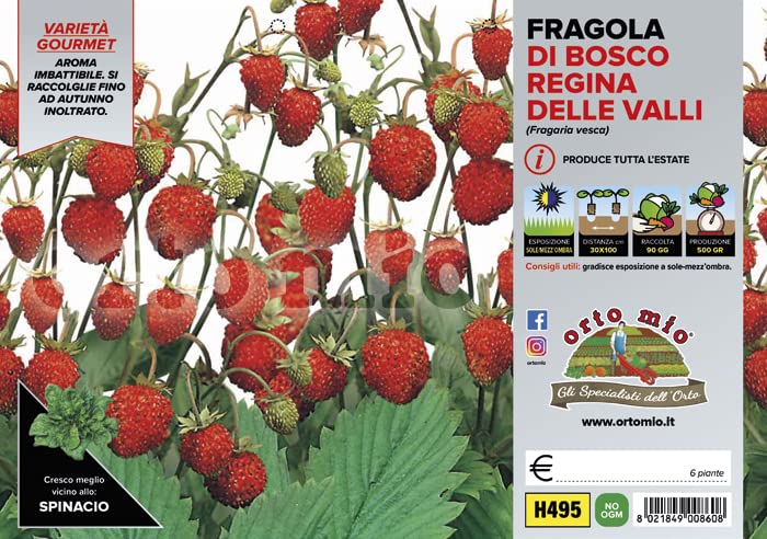 La quantità di piantine per confezione è visualizzata a fianco del nome e può essere di 1 piantina, 4 piantine, 6 piantine, 9 piantine, 12 piantine a seconda della tipologia di ortaggio che desiderate