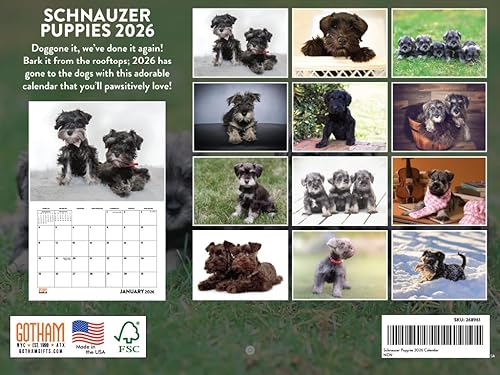 Vista 310 de Calendario Goldendoodle 2026 Golden Doodle mensual de pared calendario de 12 meses Fabricado en Estados Unidos