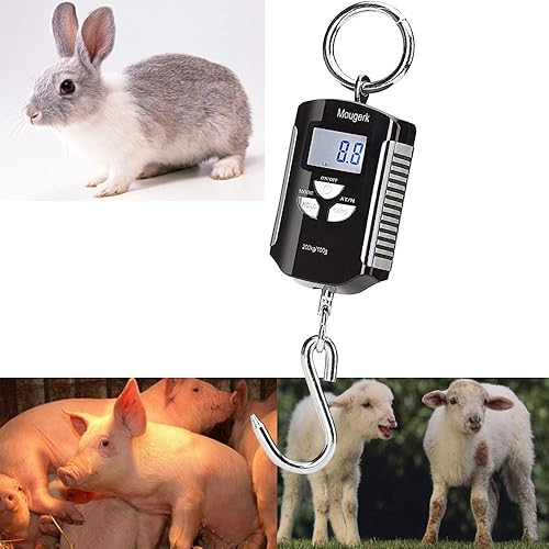 Miniatura 7 de Báscula colgante digital portátil resistente para grúa de 440 libras, 440.9 lbs, 2 pilas AAA (no incluidas)