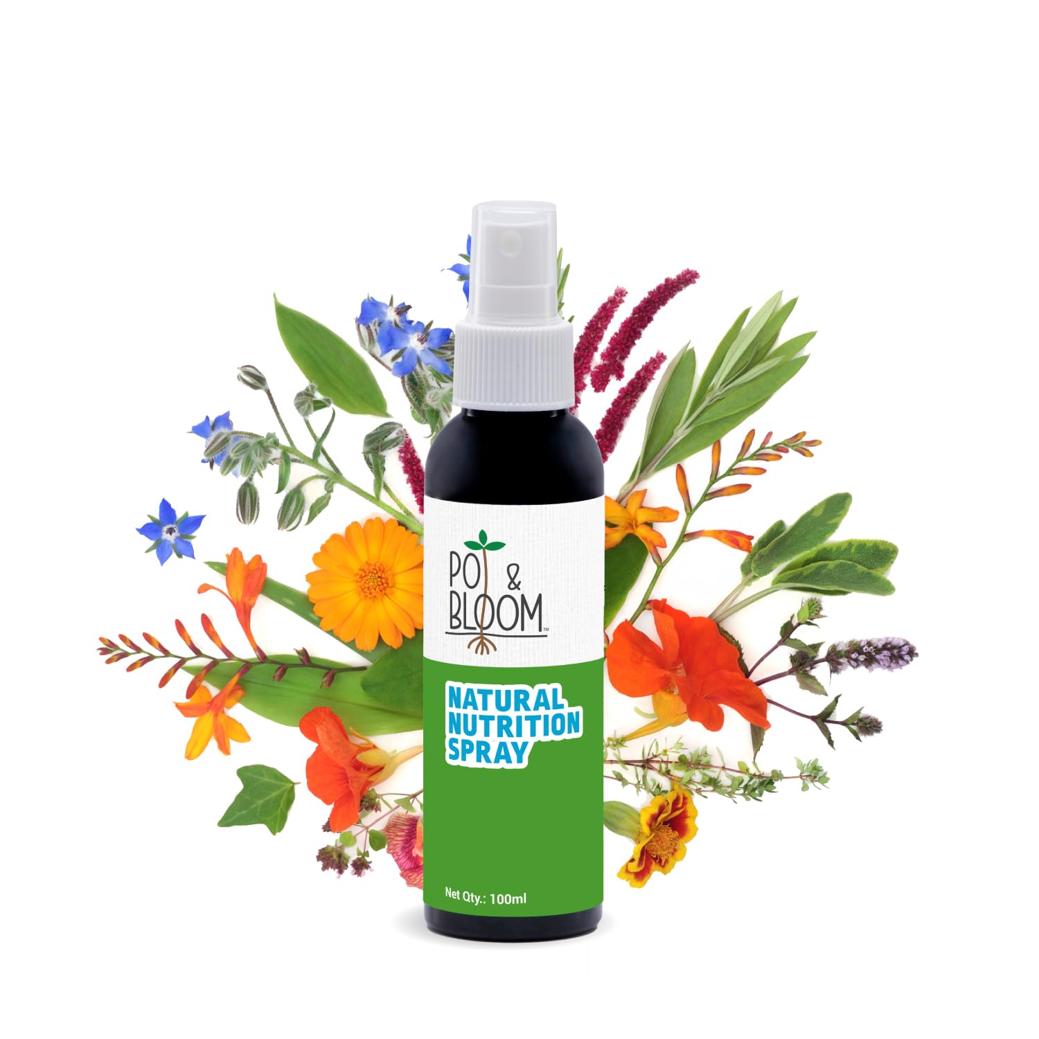 Pot And Bloom Natural Nutrition Spray 100ml | Plant Liquid Fertilizer Spray| Fertilizer Spray for Pot Flowering Plant| Growth Booster WIth Micro Nutrients For Home Garden (B0D4Y4QSMC) Amazon Price History, Amazon Price Tracker