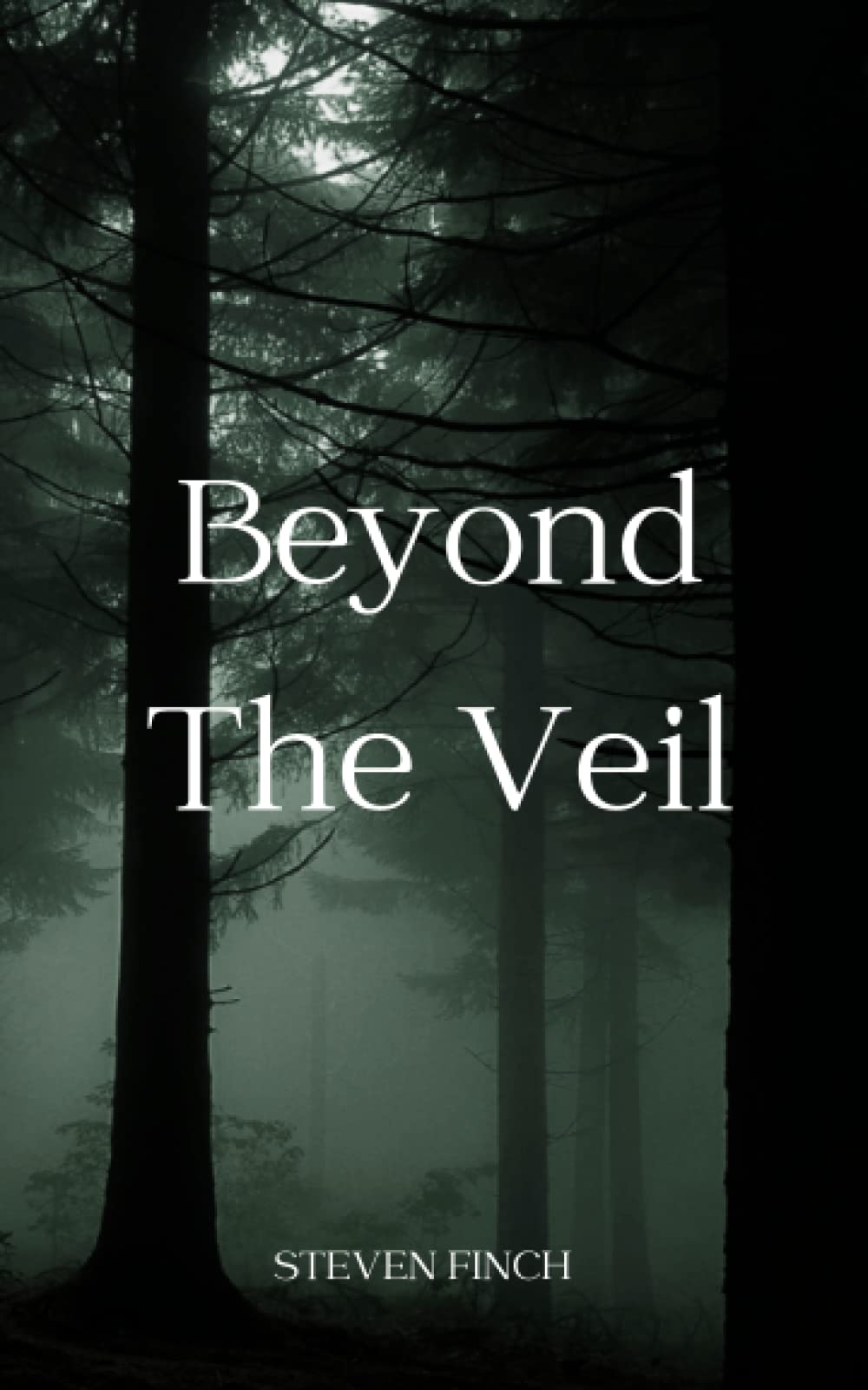 Beyond The Veil: The Rise of FaithHeal: A Story of Healing, Karma, and the Ethereal Realm