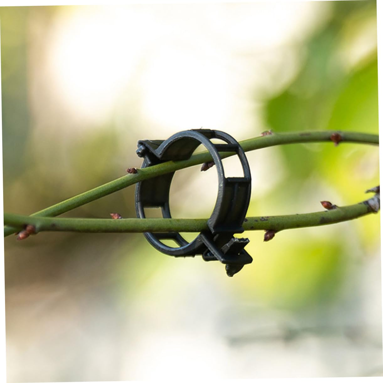 ibasenice 500stücke Pflanzenstützclips Für Tomaten Verstellbare Gartenclips Stabilisierung Von Pflanzenstängeln Wetterfeste Kunststoffklammern Für Gesunde Pflanzenwachstum