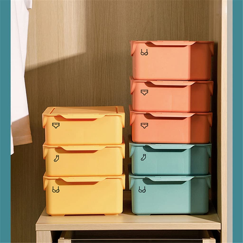 Organizer per Armadio a 10 Griglie per Calze Scatola portaoggetti per Biancheria Intima separata per la casa Organizzatore per cassetti Reggiseno per Vestiti (B 10,5 * 24,5 * 33,5 cm)