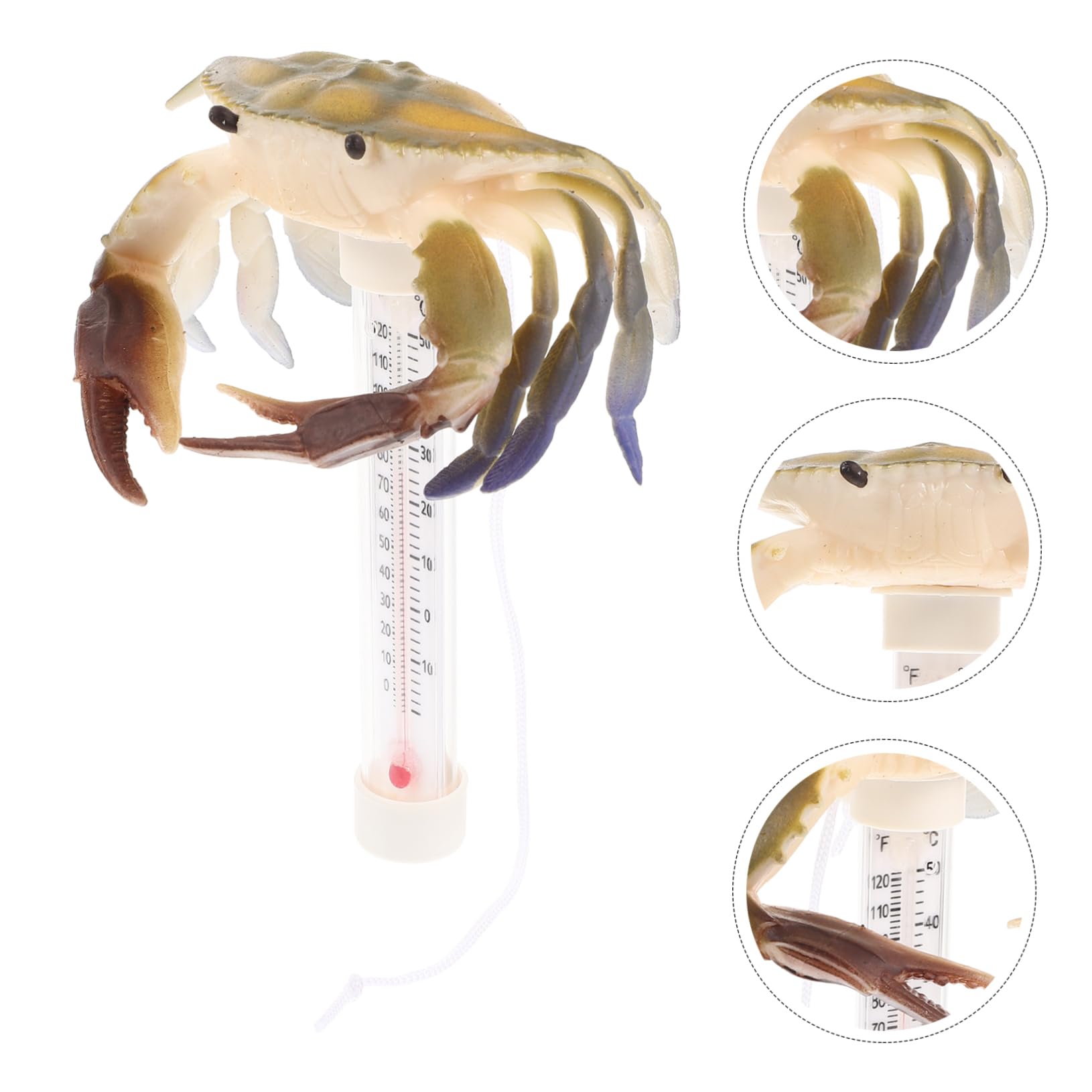 TOPBATHY 5 Pièces Thermomètre De Piscine Thermomètre À Eau Flottant Mesureur De Température De Piscine De Bain À Remous Jauge De Température D'Eau Jauge D'Eau De e