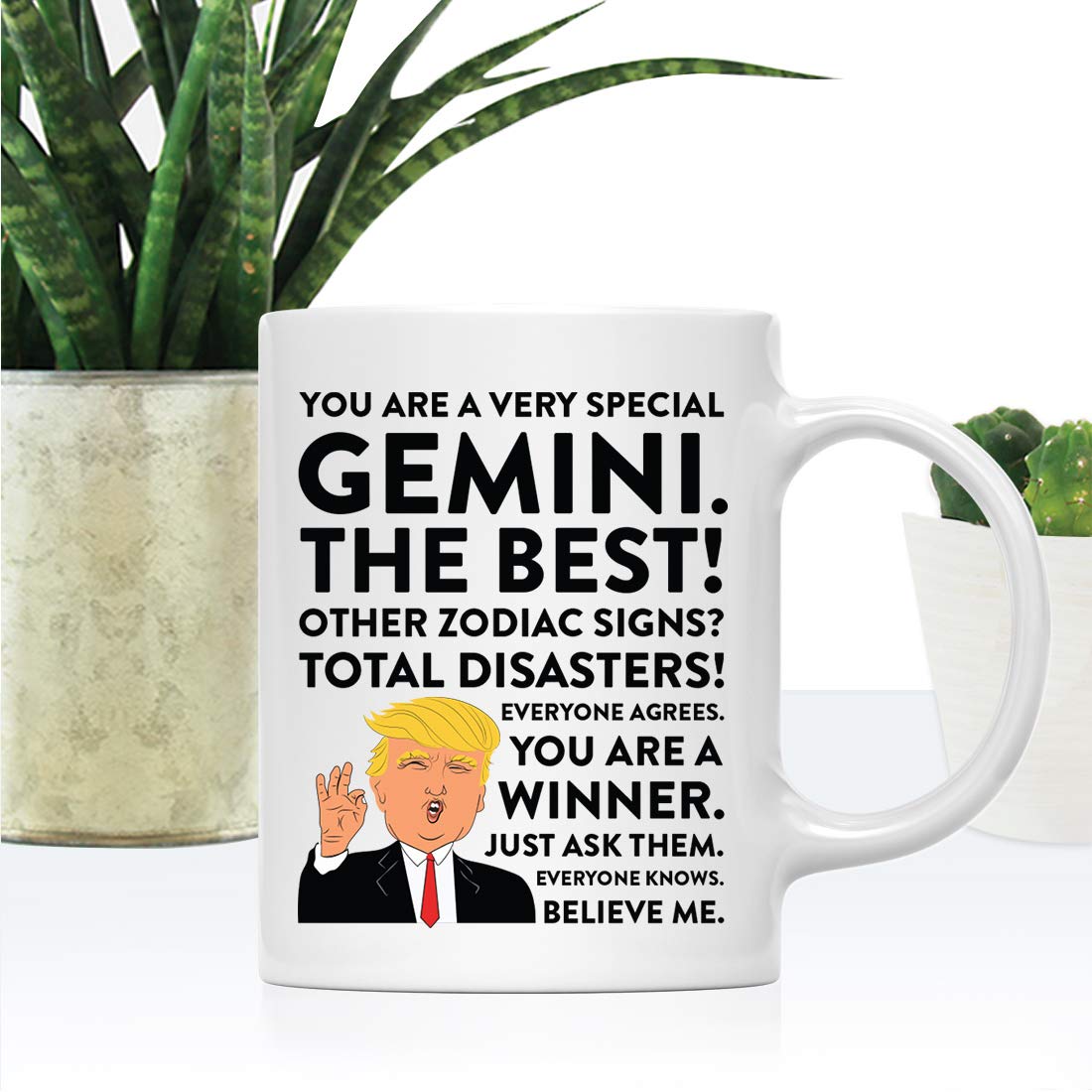 Andaz Press "You're A Very Special Really Terrific Boss" Coffee Mug - 11 Oz Funny Gift For Coworkers