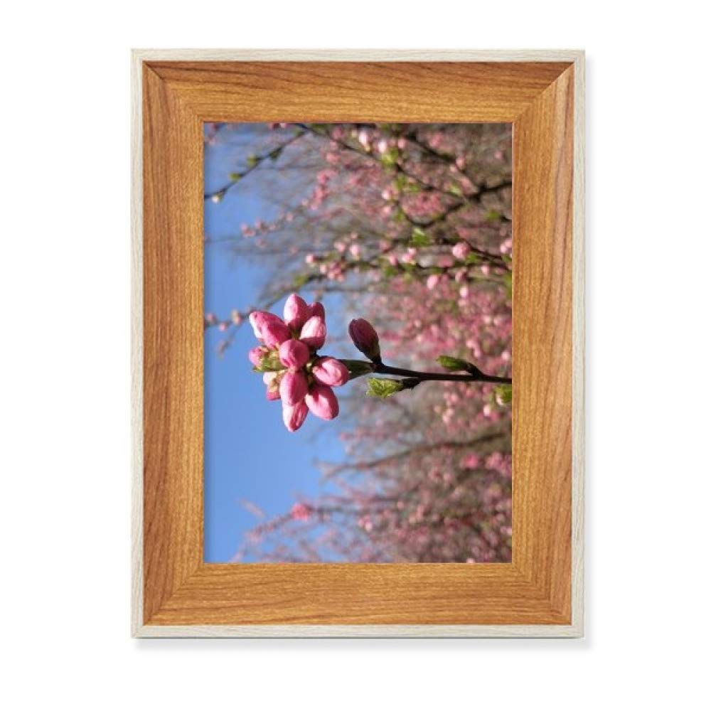 Marco de fotos de madera Spring Flower Bud escritorio pantalla imagen arte pintura