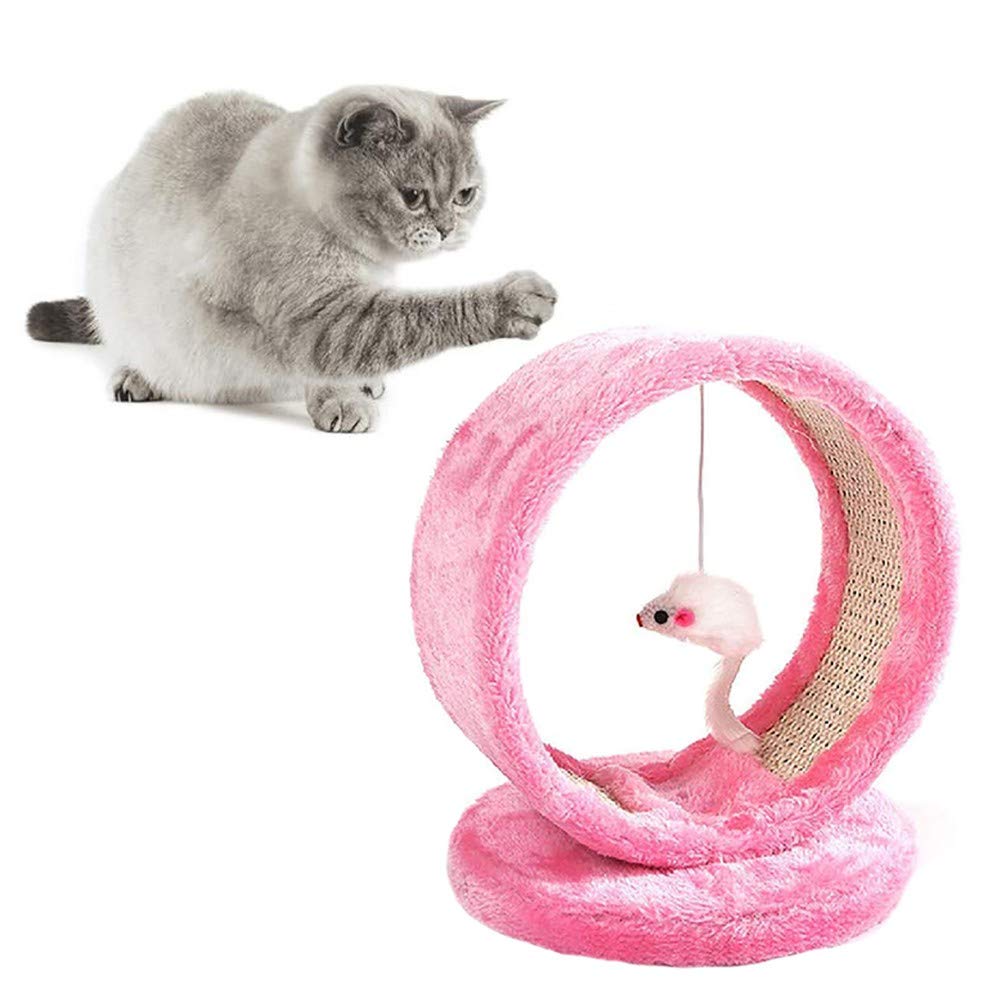 round cat toy