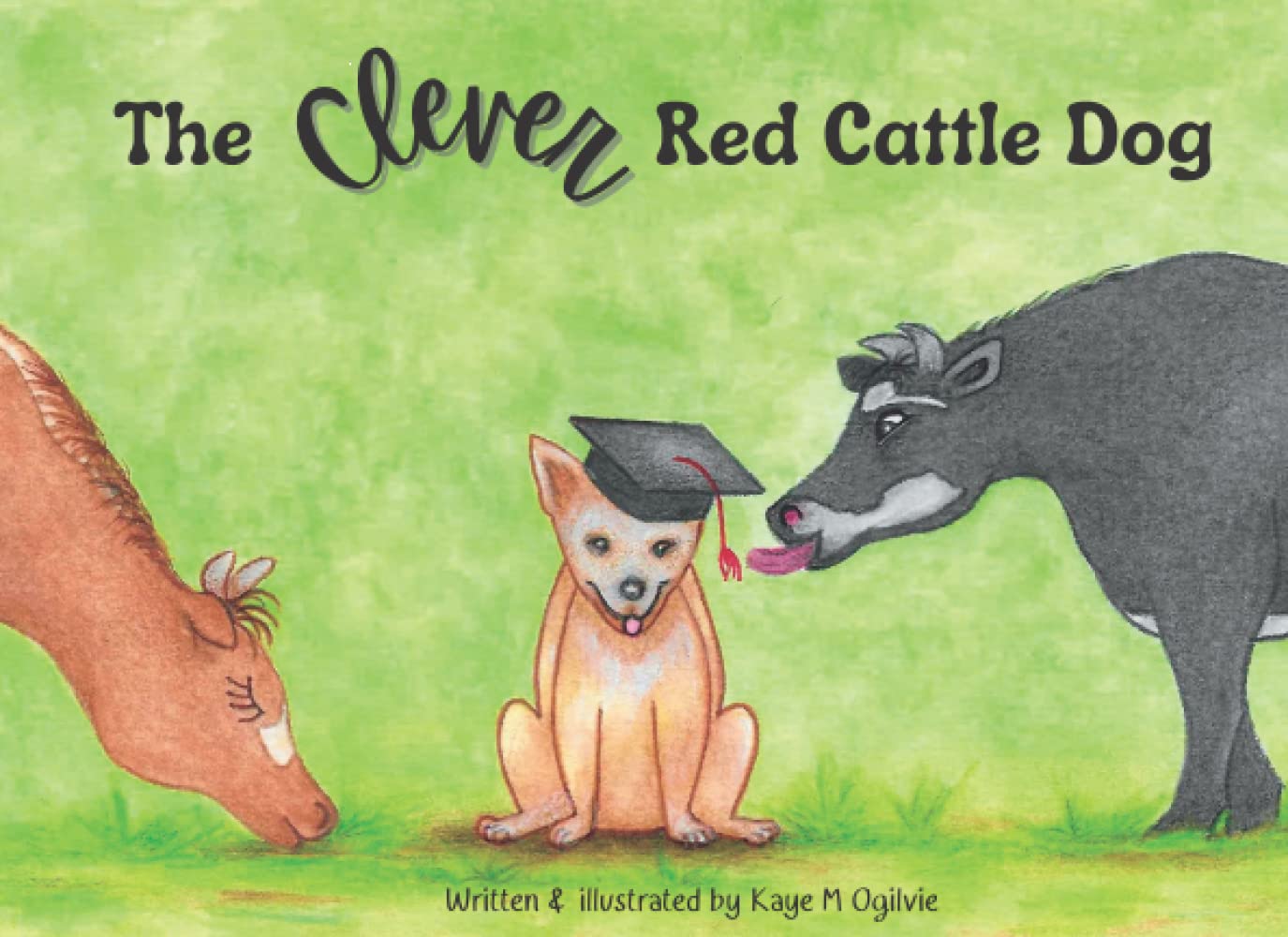 The Clever Red Cattle Dog