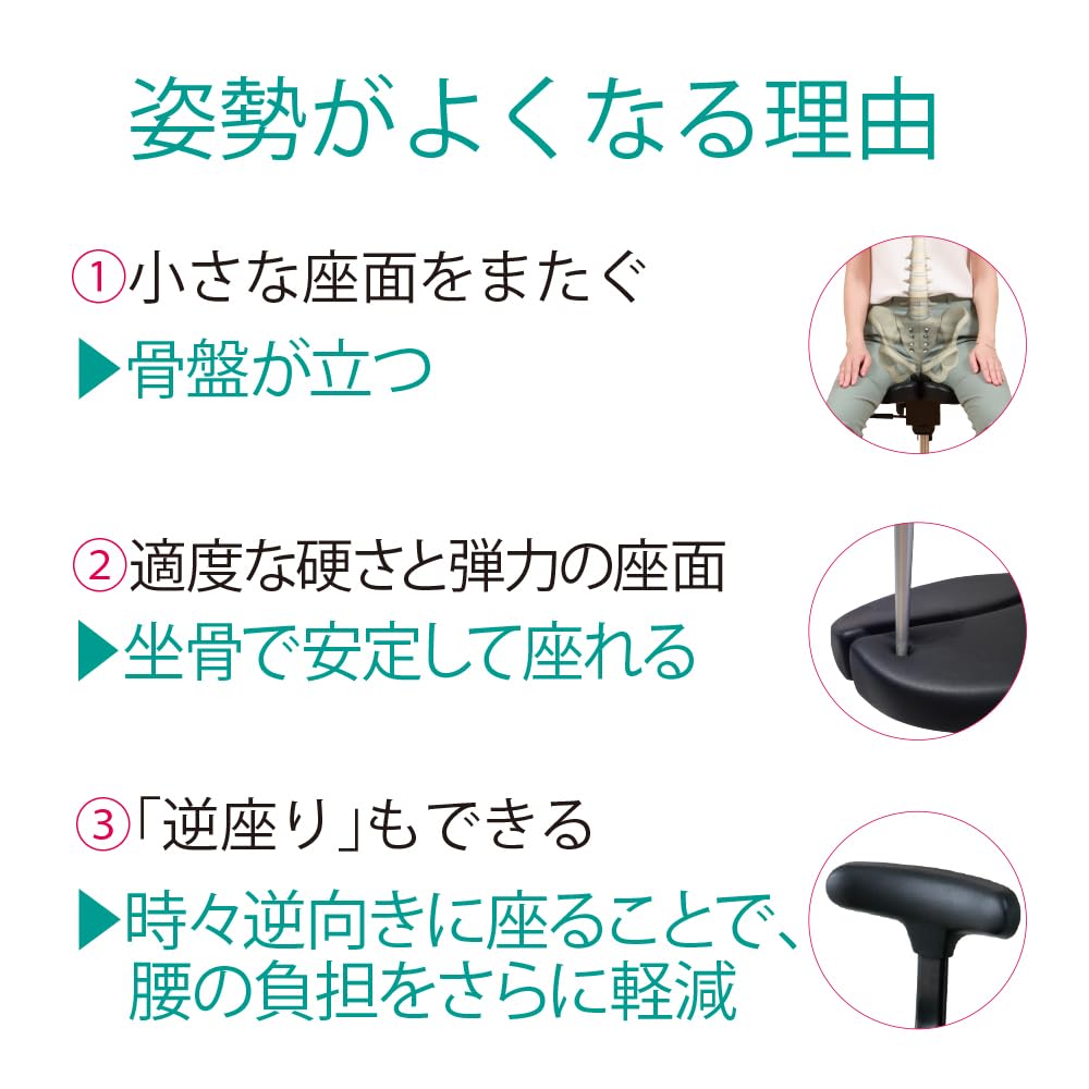 Amazon.co.jp: アーユルチェアー キャスタータイプ プレミアムモデル01