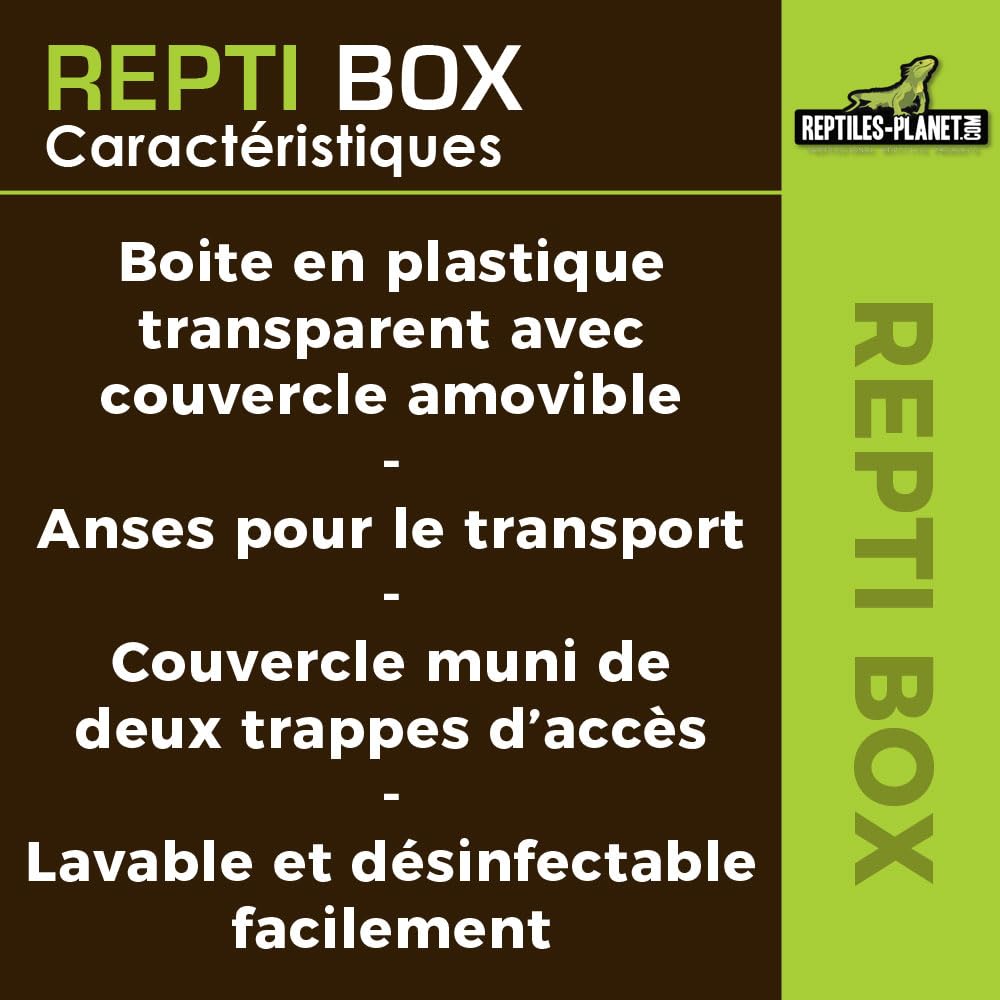 Reptiles Planet Repti Box XL Boite de Transport 42 x 26 x 16 cm