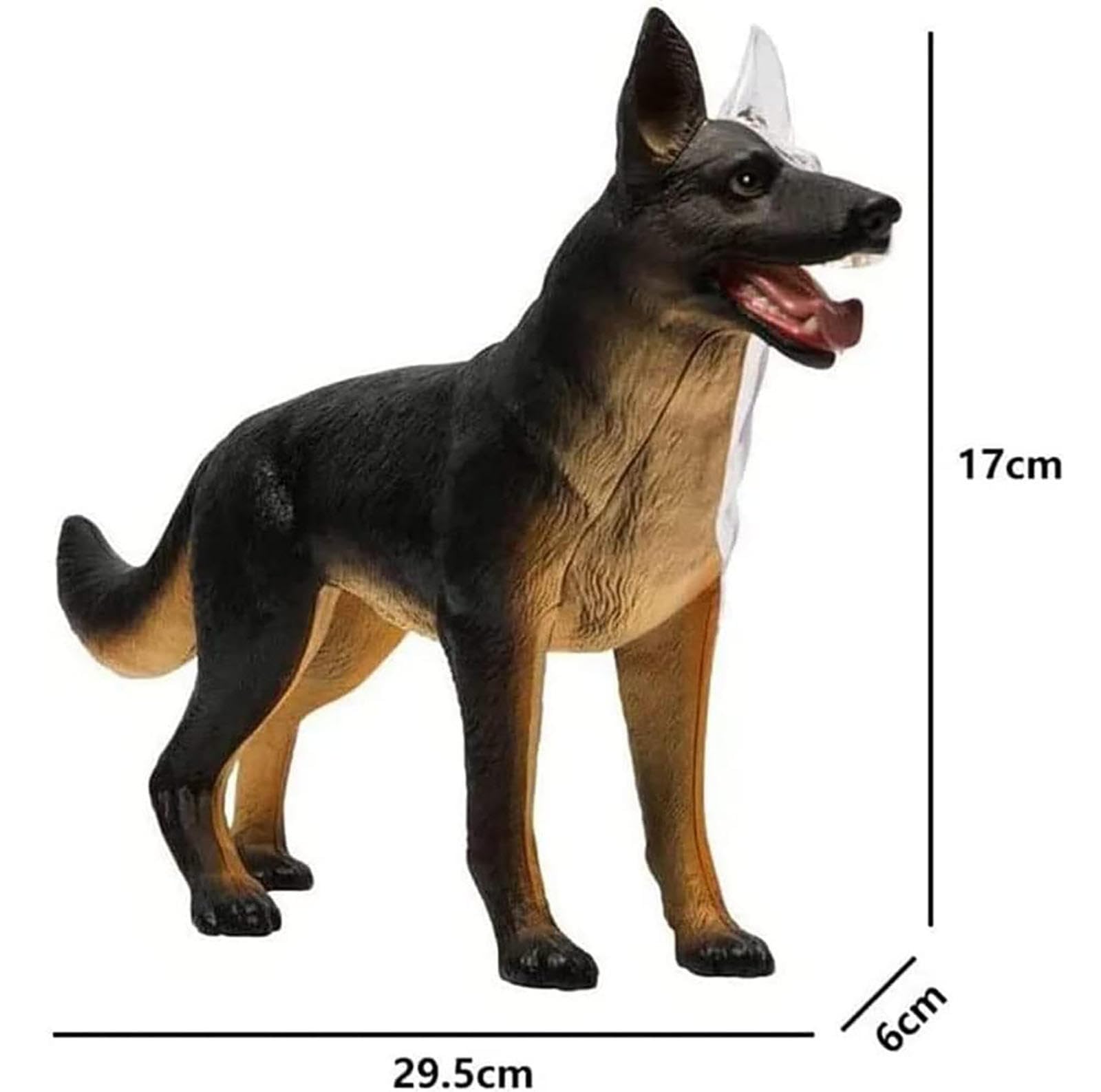 Modelo anatómico de anatomía canina 4D, esqueleto canino de perro desmontable de 29 piezas, espécimen de esqueleto animal, para demostración de enseñanza animal, capacitación veterinaria en clínicas d