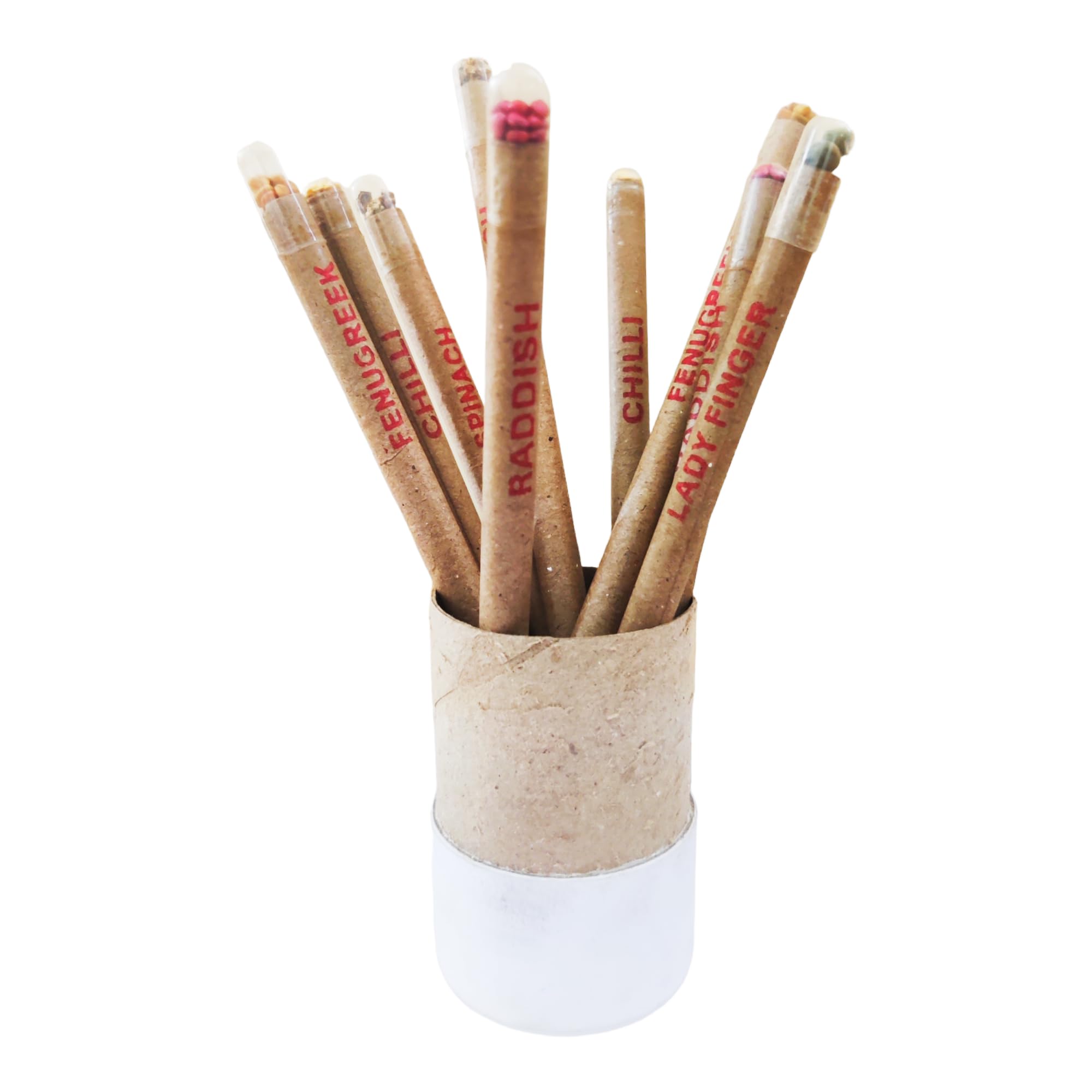 Sips N Bites Ecofriendly Recycled Plantable Paper Seed Pens | Grow Plants from Pens |100% bio-degradable Pen Body (Pack of 10)