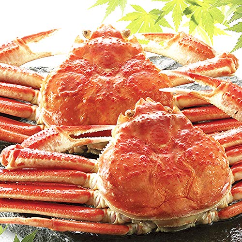 北のデリシャス カニ ズワイガニ姿 (姿/ボイル済み/冷凍品) 海鮮 水産 かに 蟹 ずわい ズワイ ずわい蟹 ズワイ蟹 北海道 ご家庭用 ギフト 贈り物 贈答 お祝い お礼 内祝い プレゼント グルメ お取り寄せ