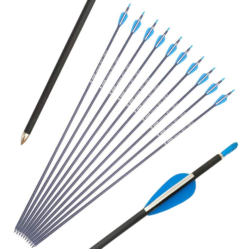 Buy AMEYXGS 31Inch Archery Carbon Arrow Hunting Arrows Spine 700 Target
