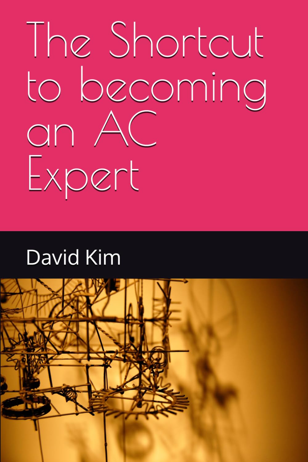 The Shortcut to becoming an AC Expert