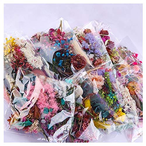 1 bolsa flores secas mezcla real para manualidades miniatura 5