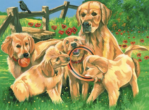 Reeves - Set Dipingere con i Numeri, Multicolore