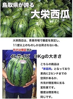 すいか様 王様甘露[西瓜] - e-種や｜国内最大級の野菜種・花種・苗・農業