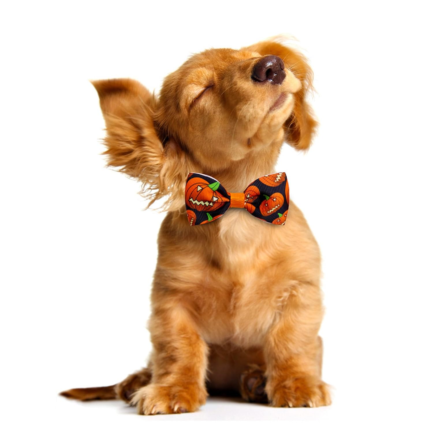 3 Halloween Hundefliegen Verstellbar – Kürbis-Muster, Polyester, Für Kleine Hunde & Katzen